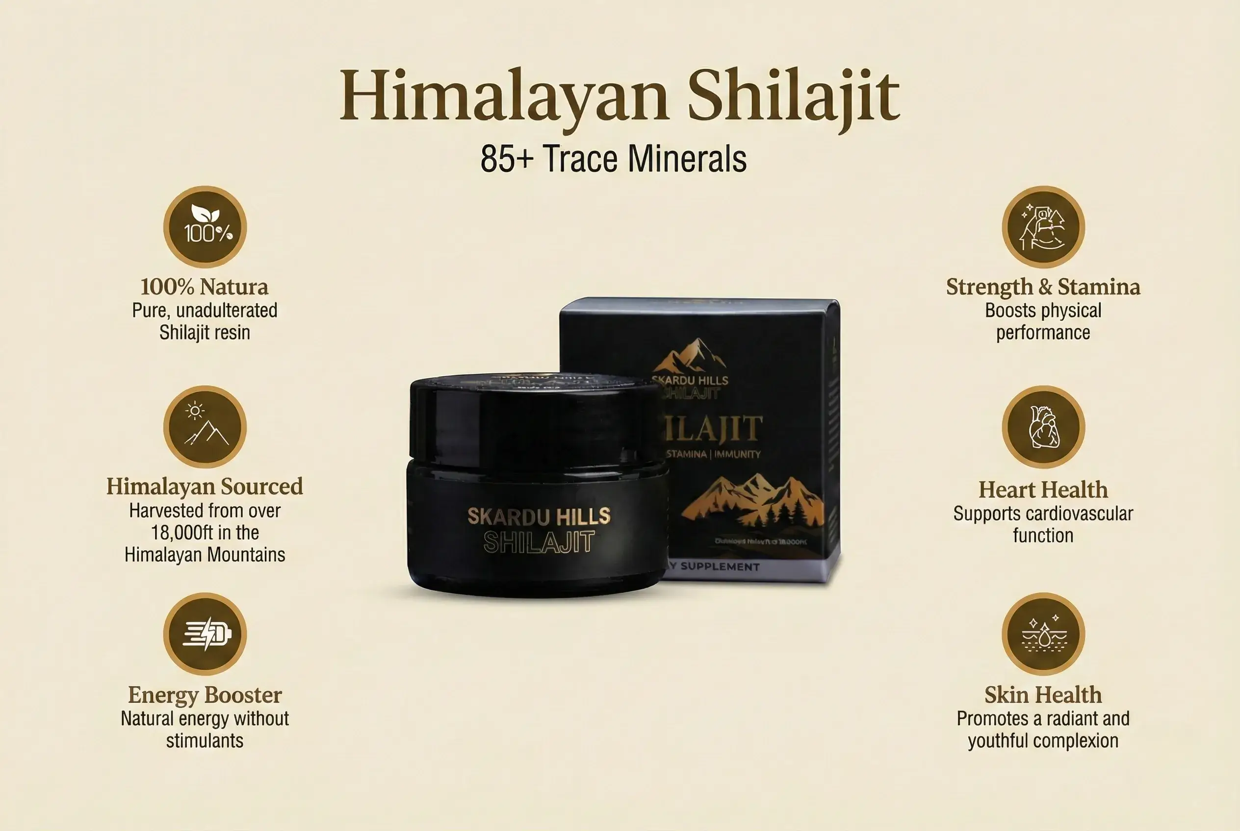 Shilajit Benefits 1
